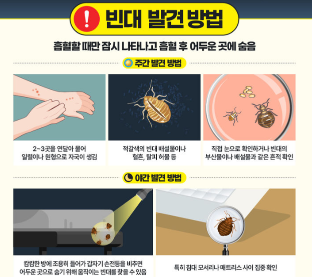 빈대 발견 방법