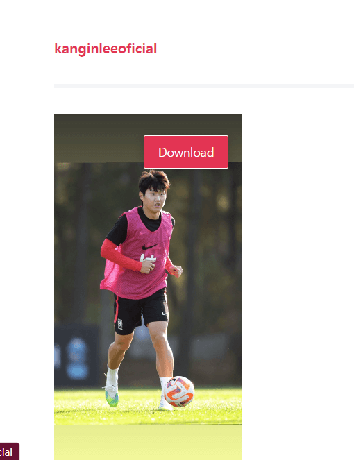 Instasaved
