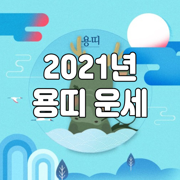  2021년 신축년 용띠 운세 사주
