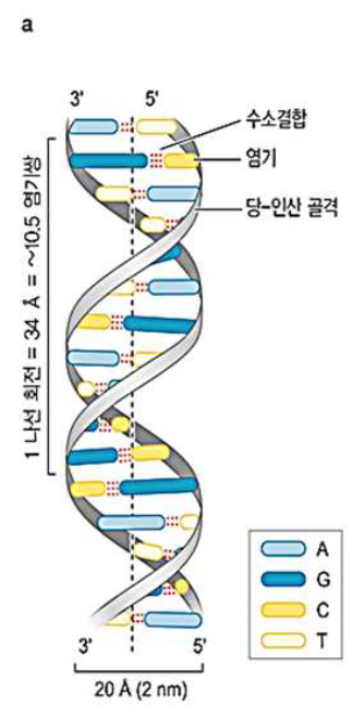 bio note 티스토리