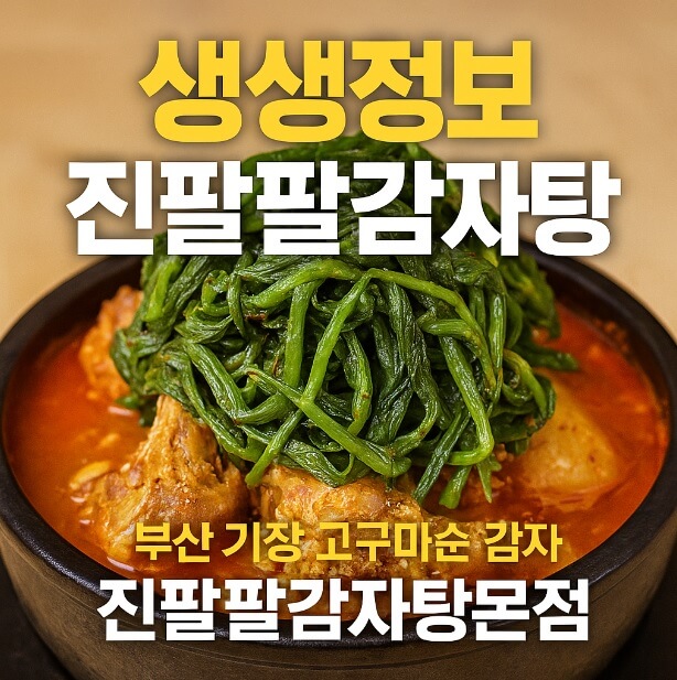 생생정보 2316회 고수의 부엌 부산 기장 고구마순 감자탕 맛집 진팔팔감자탕본점 