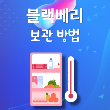 블랙베리 보관법