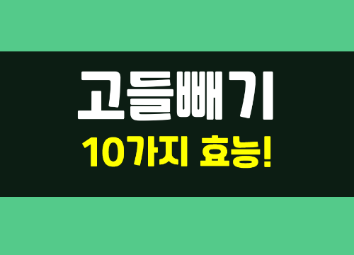  고들빼기 김치 10가지 효능과 맛있게 먹는법