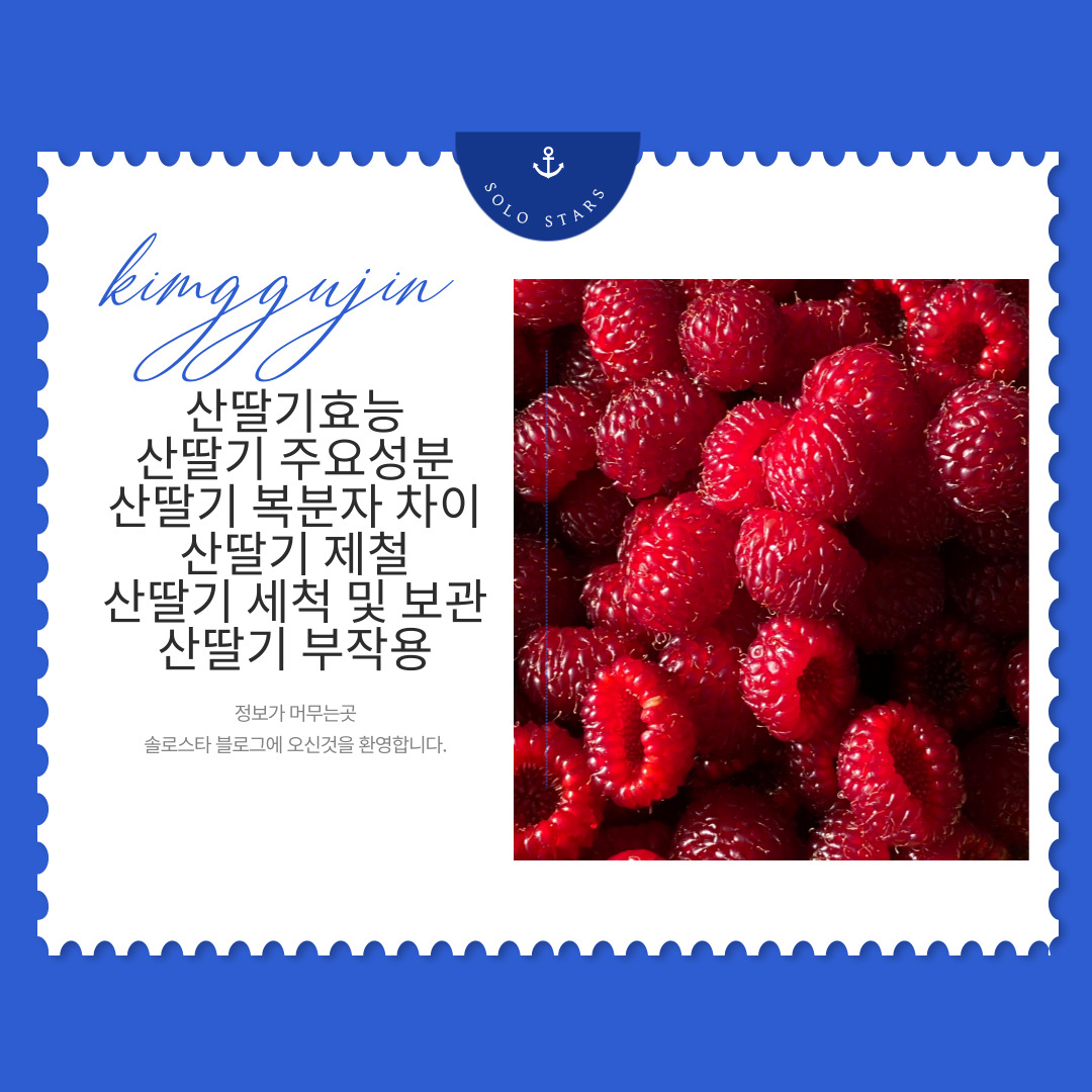 산딸기 사진