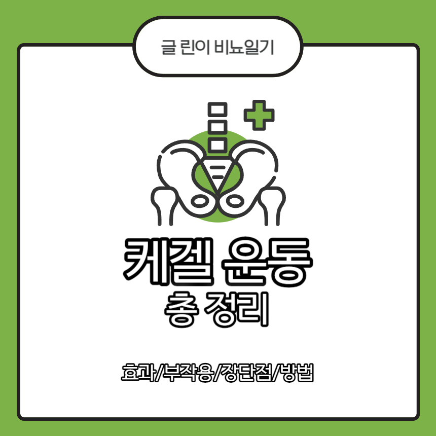  케겔 운동 총 정리 : 효과/부작용/장단점/방법