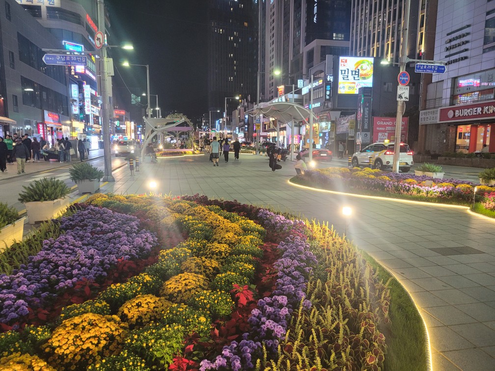 해운대 국화축제
