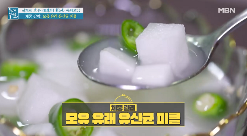  천기누설 모유 유래 유산균 피클 레시피