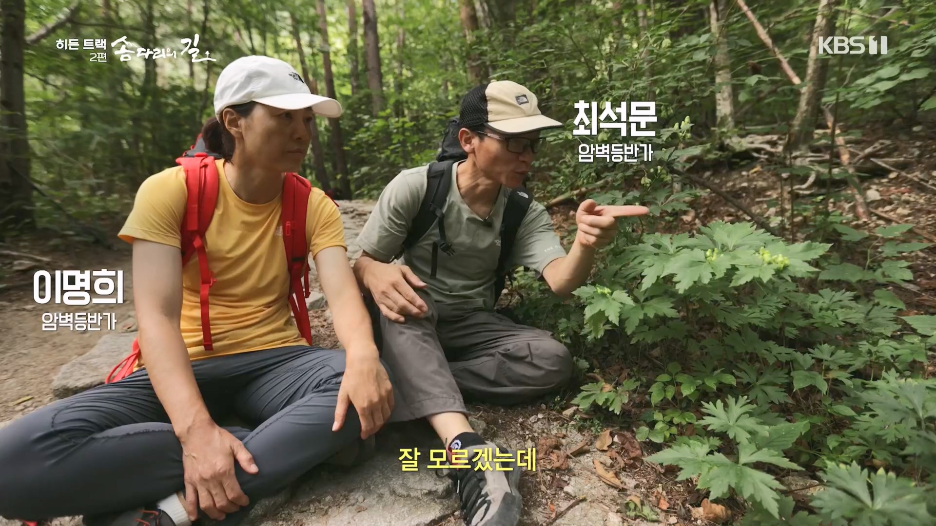 다큐 인사이트.E02.231215p.H264-F1RST.mp4_20231216_183148.930.jpg