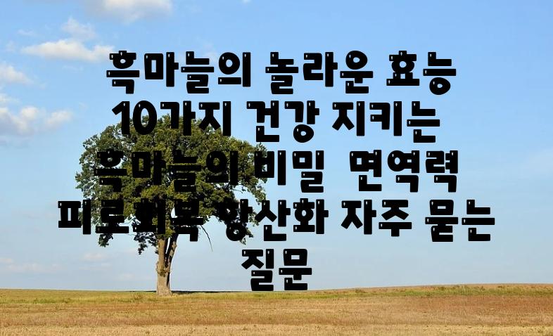  흑마늘의 놀라운 효능 10가지 건강 지키는 흑마늘의 비밀  면역력 피로회복 항산화 자주 묻는 질문