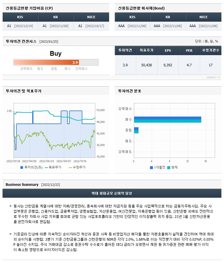 신한지주 기업정보