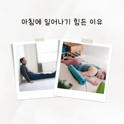 아침에 일어나기 힘든 이유