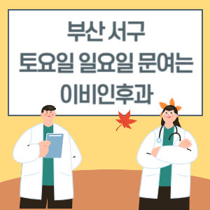 부산 서구 토요일 일요일 이비인후과 진료 병원 리스트