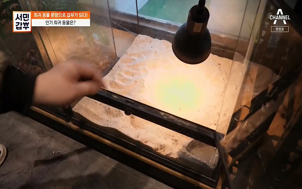 서민 갑부.E381.220431p-NEXT.mp4_20220501_180706.088.jpg