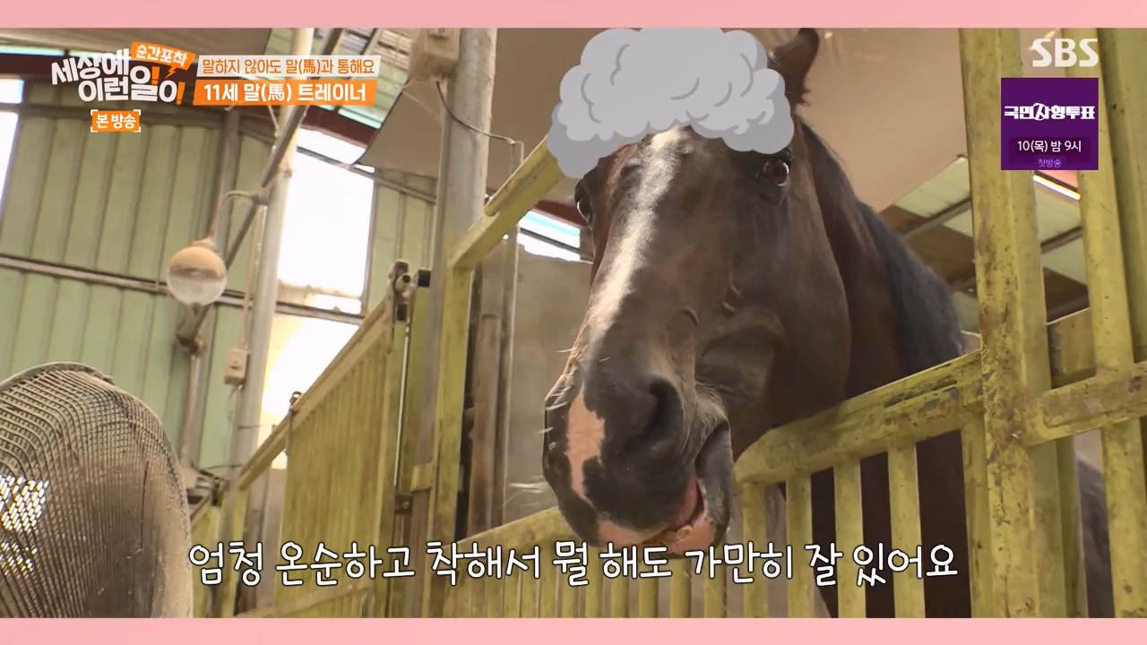 순간포착 세상에 이런일이.E1240.230806p-NEXT.mp4_20230806_161415.692.jpg