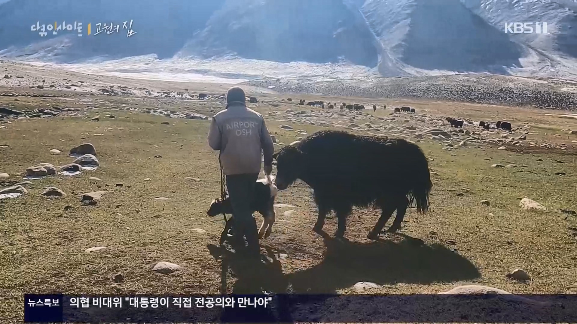 다큐 인사이트.E176.240328p.H264-F1RST.mp4_20240330_162538.275.jpg