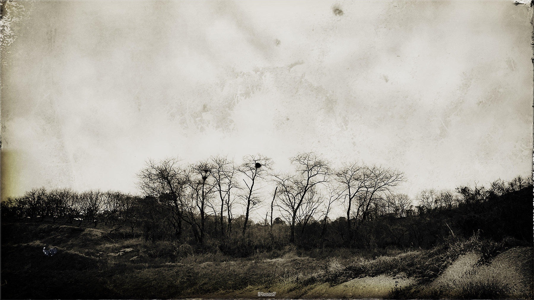  A gloomy day