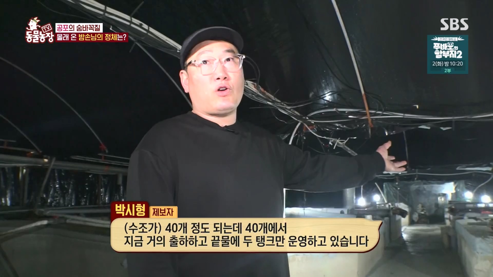 TV 동물농장.E1165.240331p.H264-F1RST.mp4_20240331_144344.341.jpg