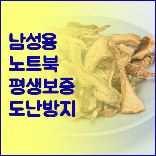 남성용 노트북 배낭 선택 가이드 평생