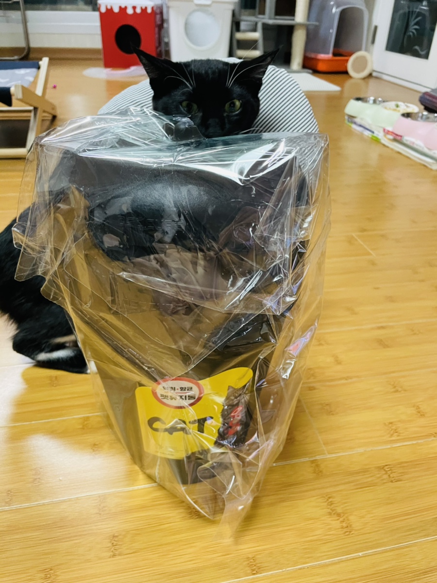 분변처리통 고양이배변냄새 없애고 처리해요! 리터락커 말고 데오큐브 고양이화장실 24