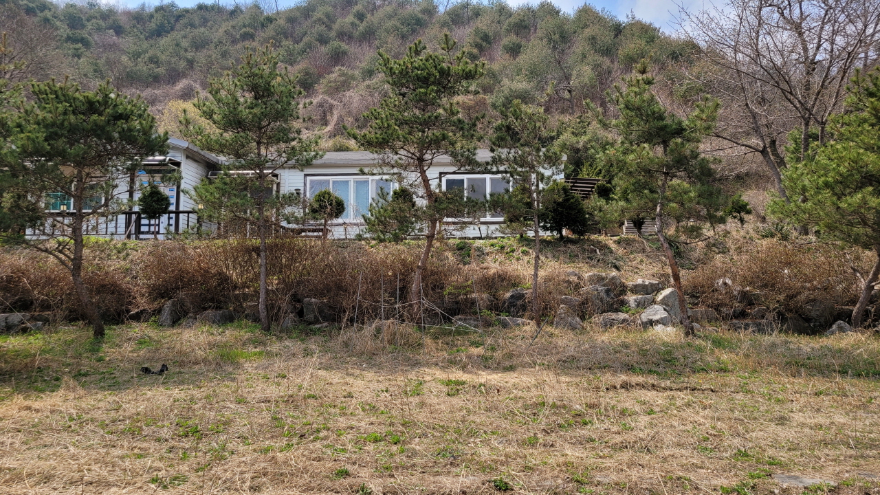 개울건너 이미지