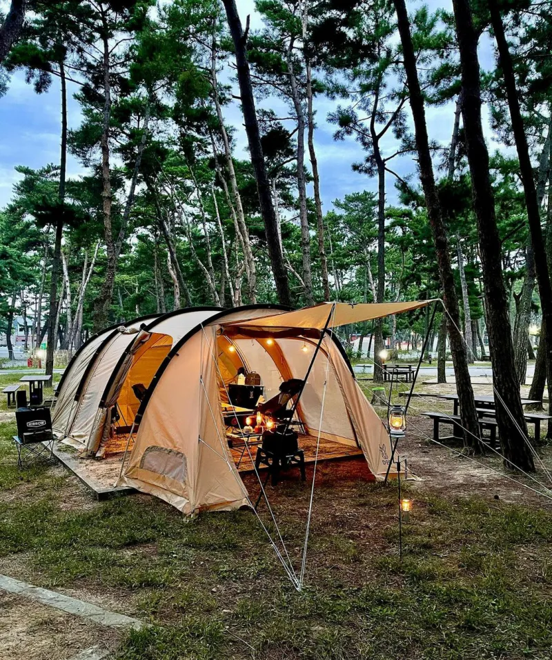 몽산포오토캠핑장-사진