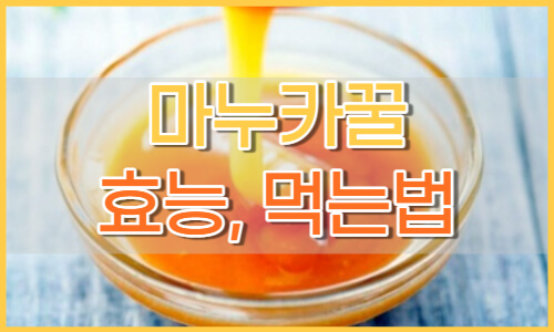 마누카꿀 먹는법 마누카 꿀 효능 마누카꿀 부작용 :: 경제적 자유를 얻기 위해 같이 노력해요 마누카꿀 먹는법 마누카 꿀 효능 마누카꿀 부작용 :: 경제적 자유를 얻기 위해 같이 노력해요