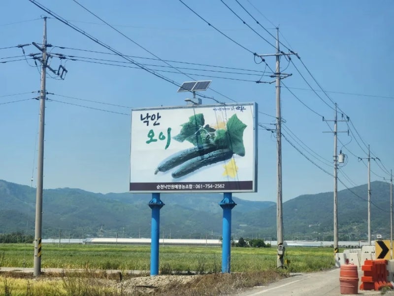 해피버스데이 이미지