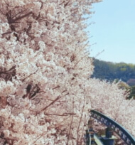 화담숲 예약방법