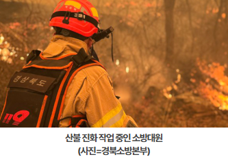 카카오같이가치 산불피해복구 기부 모금