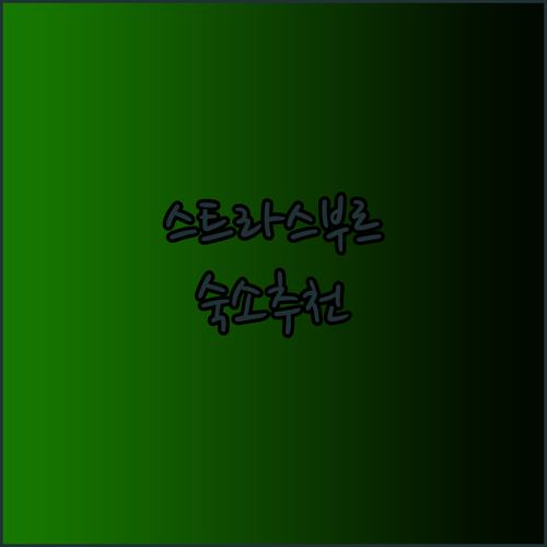 프랑스 스트라스부르 숙소 고르기 어떤