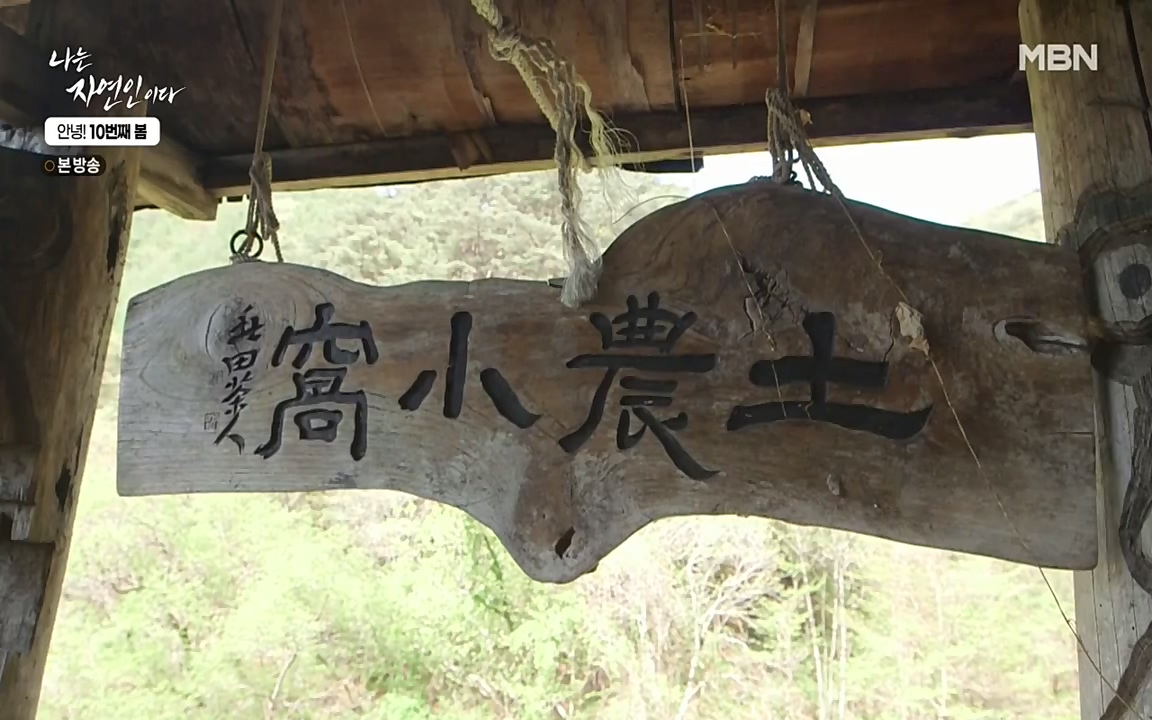 나는 자연인이다.E500.220505p-NEXT.mp4_20220505_180209.772.jpg