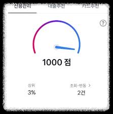  [나만의 신용 점수] 대출 신청과 승인 여부의 결정 - 신용 관리의 의해