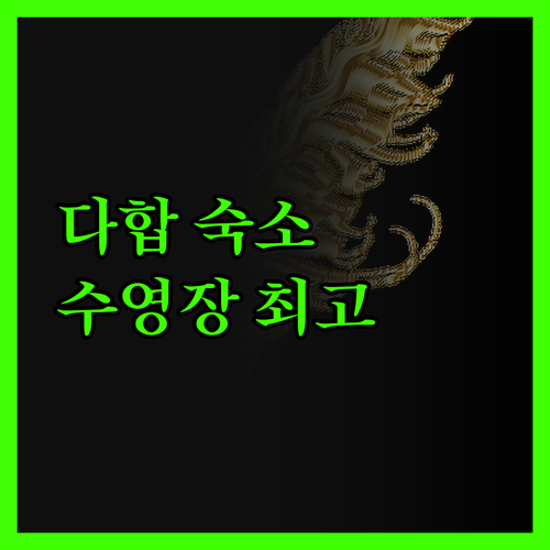 다합 '서퍼스 라운지', 프라이빗? 