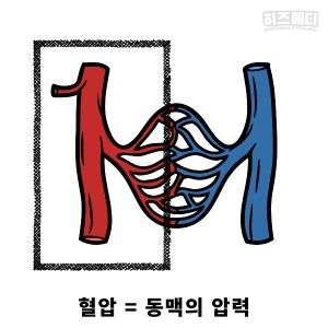 혈압 정상수치