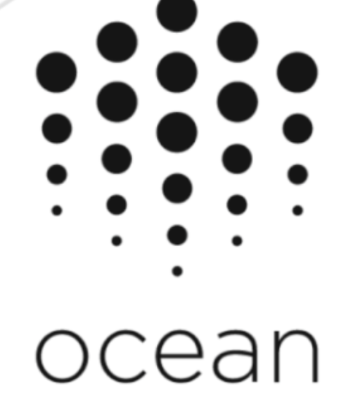  오션프로토콜(OCEAN) 코인 전망