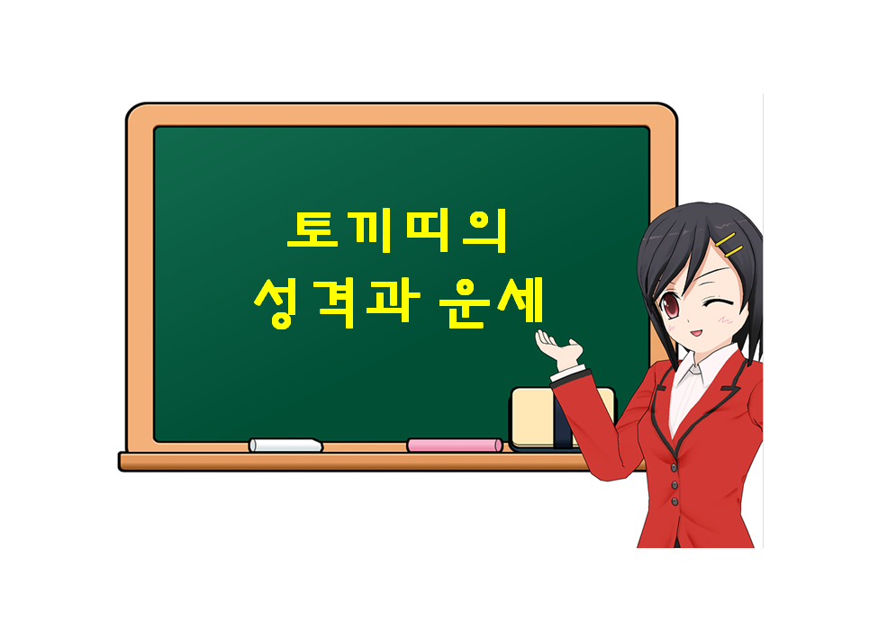 토끼띠의 전체적인 성격과 운세, 토끼띠에 대해 궁금하다면?