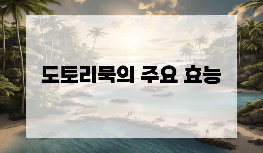 도토리묵의 주요 효능