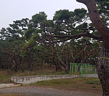 프리미엄-붙는-아파트-청약-공부