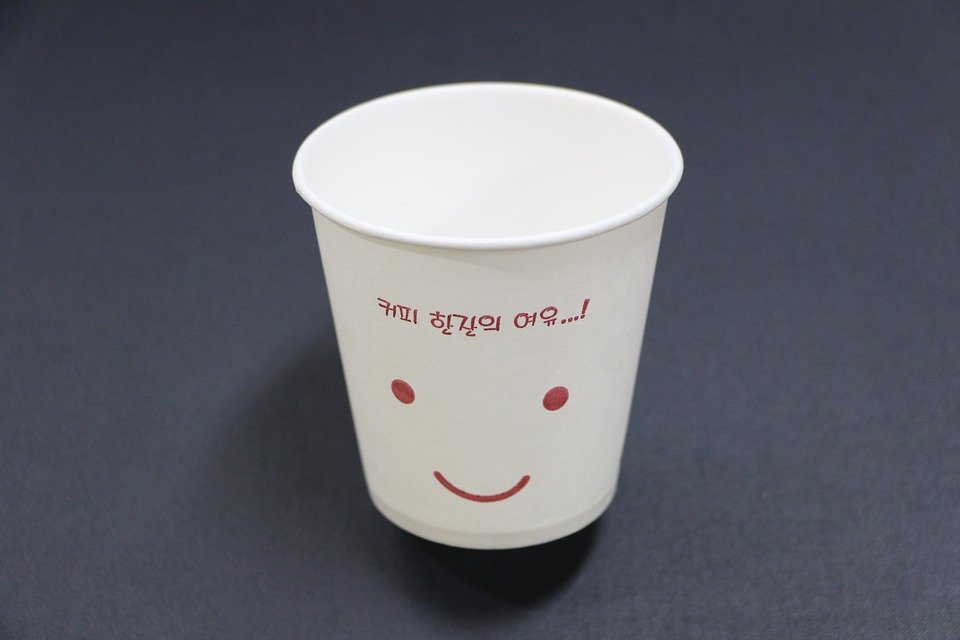  1회용품 사용 억제, 폐기물 발생 억제 대책