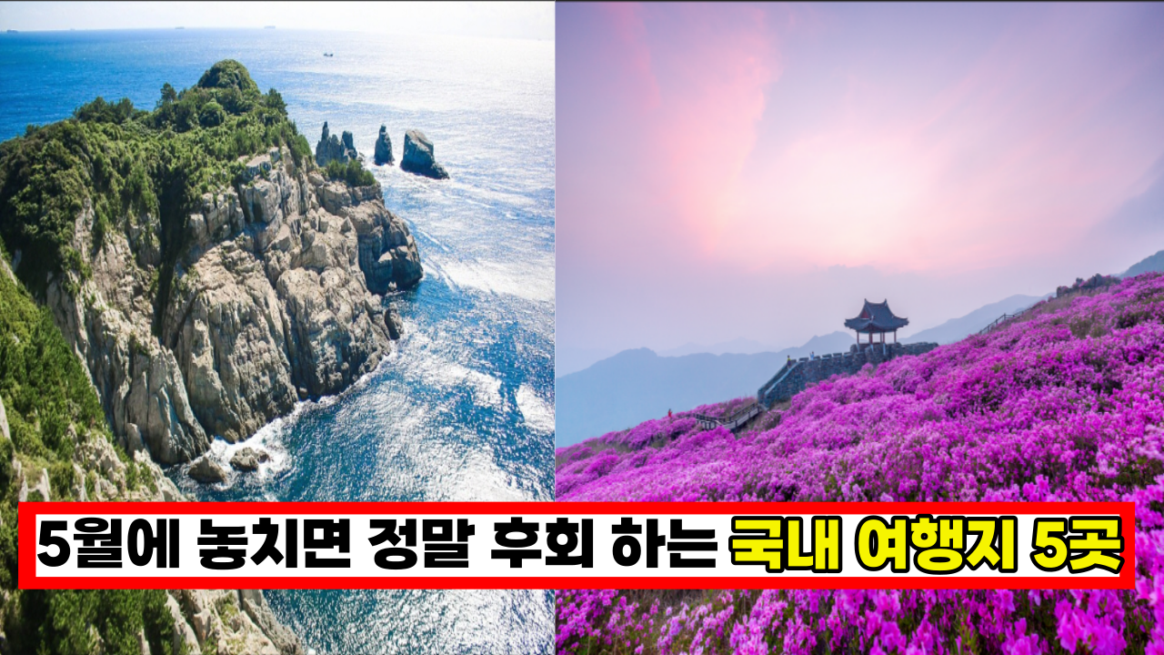  '여긴 꼭 가봐야 해요' 5월에 놓치면 정말 후회하는 국내 여행지 5곳