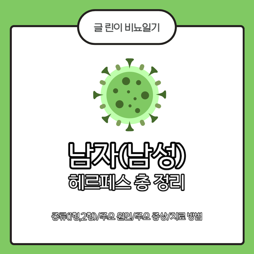  남자(남성) 헤르페스 총 정리 : 종류(1형,2형)/주요 원인/주요 증상/치료 방법