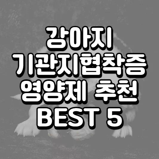 강아지-기관지협착증
반려견-기관지
개-기관지
강아지-기침
반려견-기침
강아지-귓병
반려견-귓병
강아지-내이염
강아지-외이염