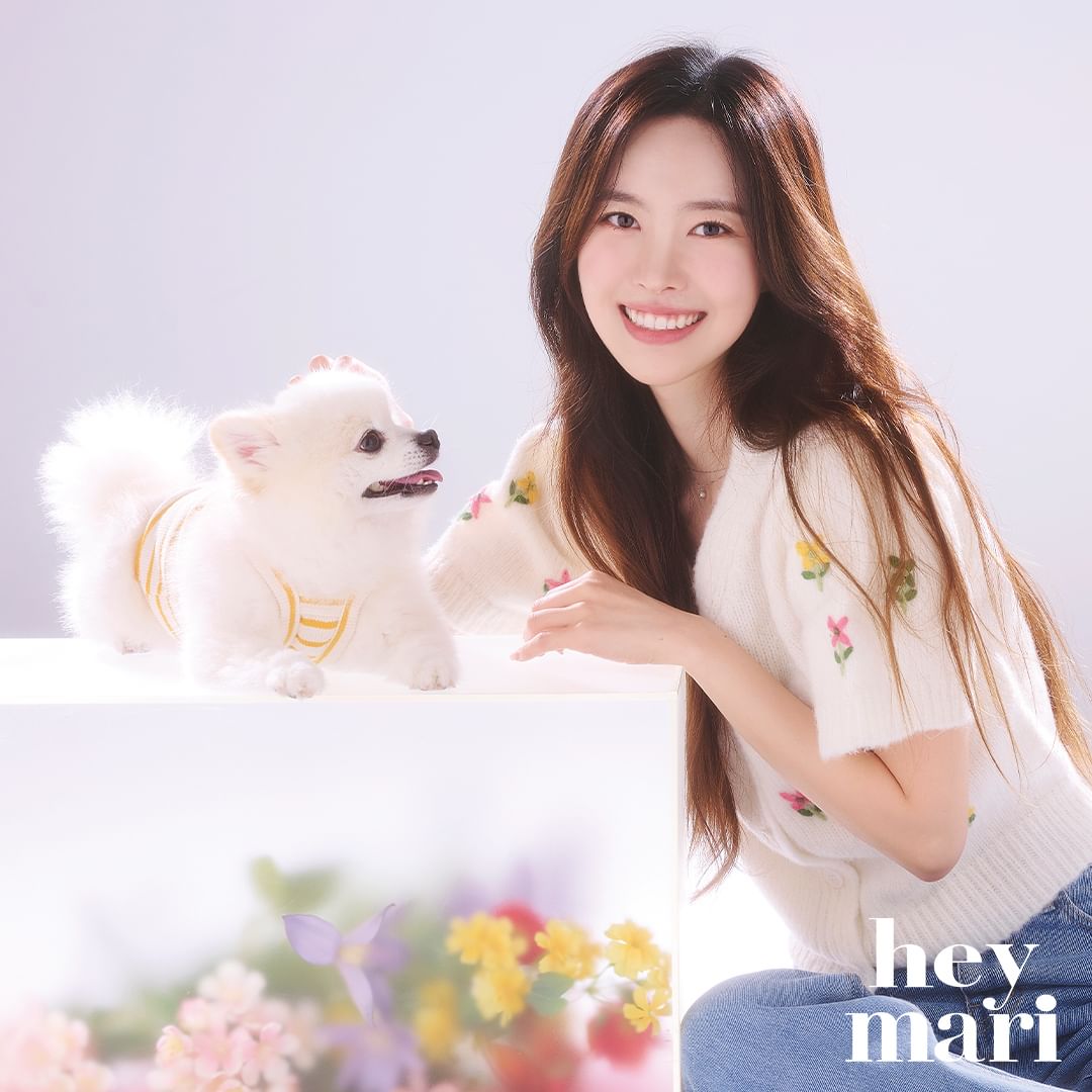 헤이HEY 이미지