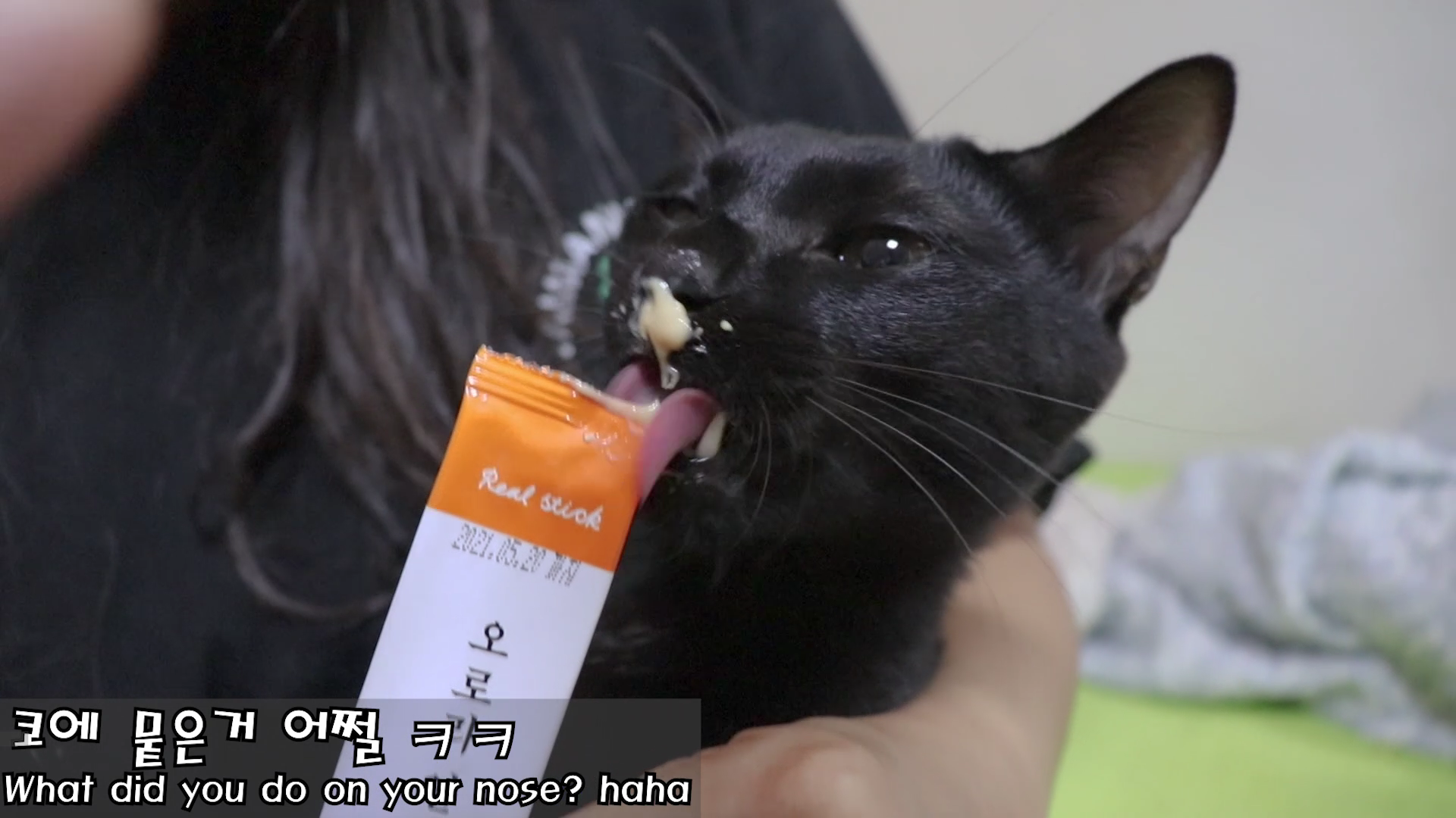  고양이 사제간식 리뷰 #11 국산 고양이 간식_리얼스틱(맛보기 샘플 6종)_프로젝트21