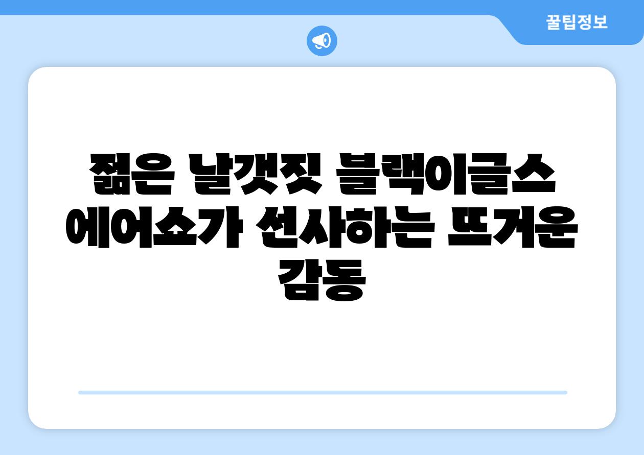 젊은 날갯짓 블랙이글스 에어쇼가 선사하는 뜨거운 감동
