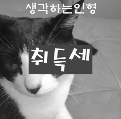  취득세에 대하여 (취득세율과 중과세)