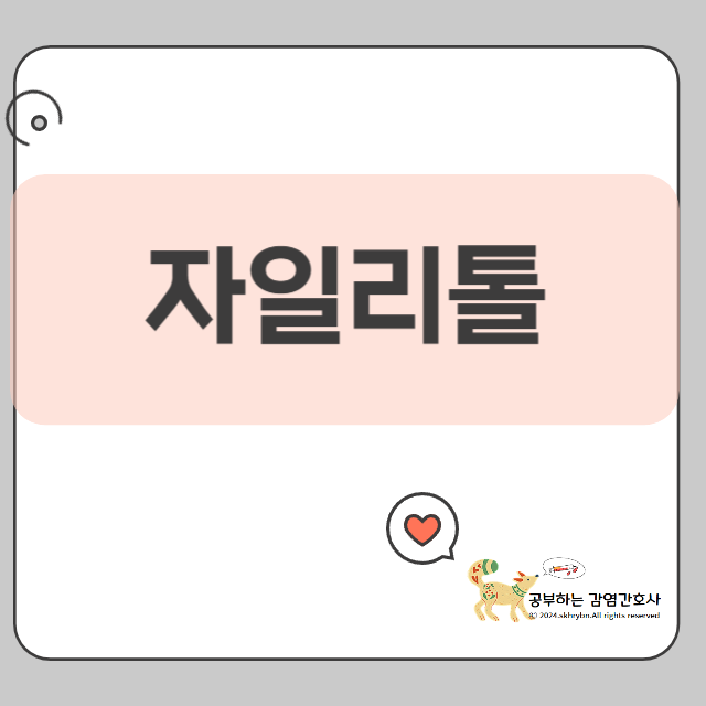 충치 예방 간식! 자일리톨 스톤 집에서 쉽게 만드는 방법