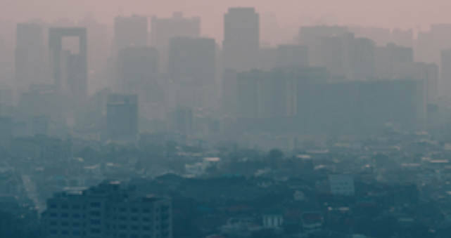  미세먼지는 1급 발암물질 / 미세먼지 멀리하는 방법 / 실시간 미세먼지 예보