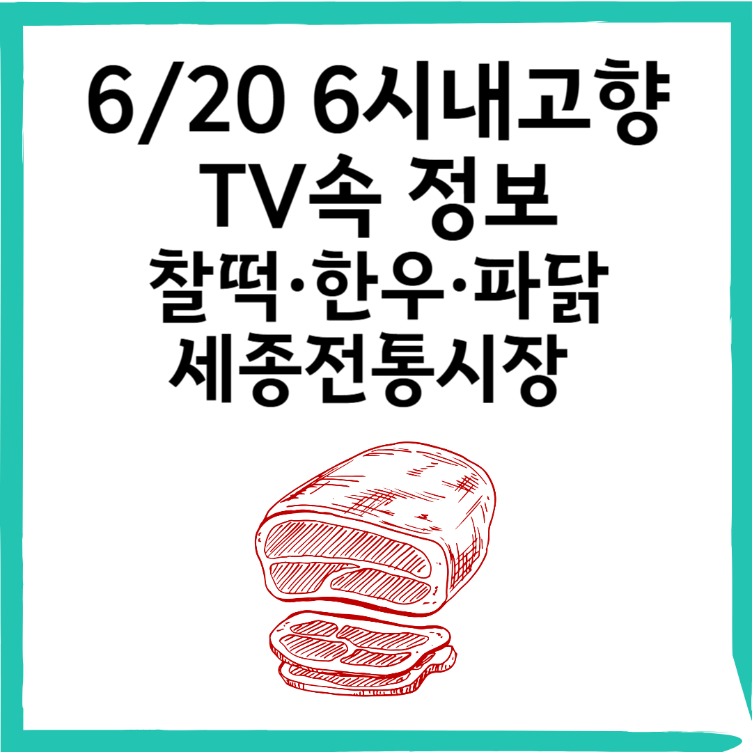 6/20 6시내고향 찰떡·한우·파닭까지?세종전통시장 맛집 정보 총정리