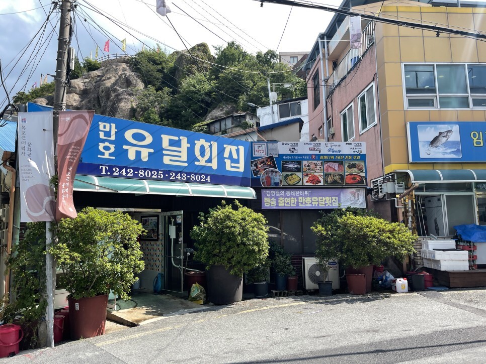  민어의 도시 목포. 오랜만에 방문한 영란횟집